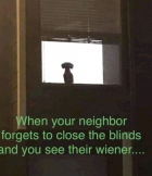 1708529090951.png
