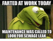 1708571255591.png