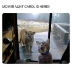 1708571378739.png