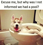 1708572252922.png
