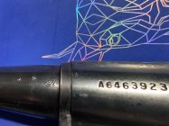 IMG_9189.jpeg
