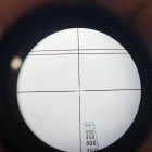 17086336661004725683191496151506.jpg