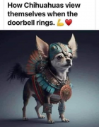 1708651396663.png