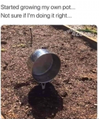 1708652014115.png