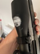 IMG_3434.jpeg