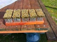 20230325_163100.jpg 20230325_163100.jpg