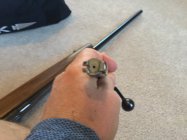 IMG_0741.jpeg