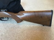 IMG_0733.jpeg