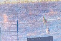 22424.1st.jpeg
