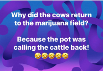 1708896334642.png