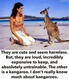 1708907640755.png