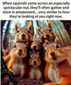 1708907776984.png