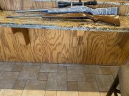 IMG_8580.jpeg