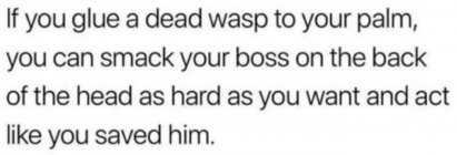 1708969581444.jpeg