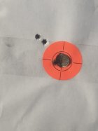 IMG_0569.jpeg