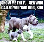 C76C3BF3-652F-4867-B8D6-5E52A858F70B.jpeg