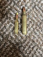 IMG_6045.jpeg