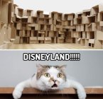 disney.jpg