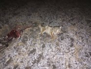 IMG_20240228_020508879.jpg