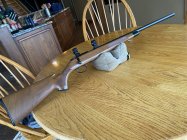 IMG_1716.jpeg