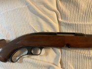 IMG_5691.jpeg