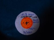 DSCI0346.jpg