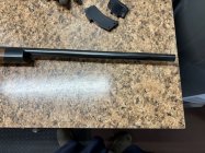 IMG_7255.jpeg