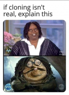 1709250056531.png