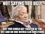 IMG_5233.jpeg