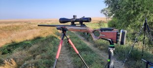 Savage 12fv.jpg