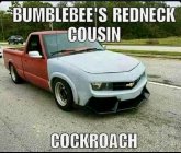 IMG_5273.jpeg