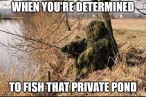 IMG_1023.jpeg