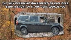 IMG_1022.jpeg