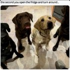 IMG_5316.jpeg