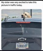 IMG_5326.jpeg