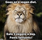IMG_5339.jpeg