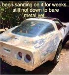 IMG_5371.jpeg