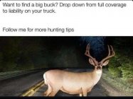 IMG_5376.jpeg