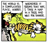1709421363647.png