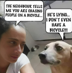 1709421440051.png
