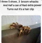 IMG_5394.jpeg