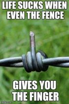 Fence Finger.jpeg