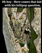 IMG_5481.jpeg