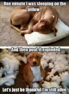 IMG_5483.jpeg