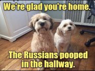 IMG_5547.jpeg
