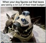 IMG_5560.jpeg