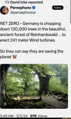IMG_5576.jpeg