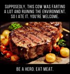 IMG_1095.jpeg