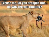 IMG_5587.jpeg