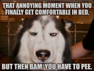 IMG_5623.jpeg